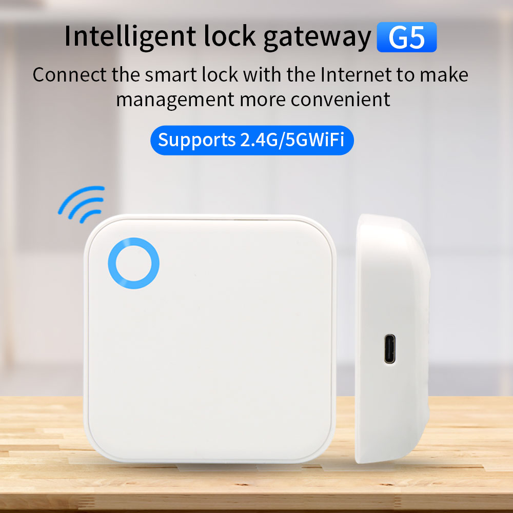 Smart Home Network - 2.4G + 5G TTLOCK Gerbang WIFI